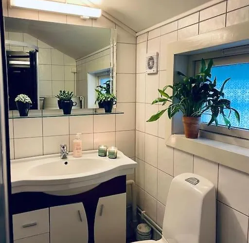 Northcape Nature Rorbuer - 1 - Dock South