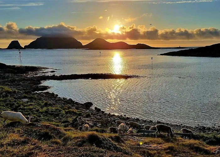 Northcape Nature Rorbuer - 1 - Dock South Lejlighed *